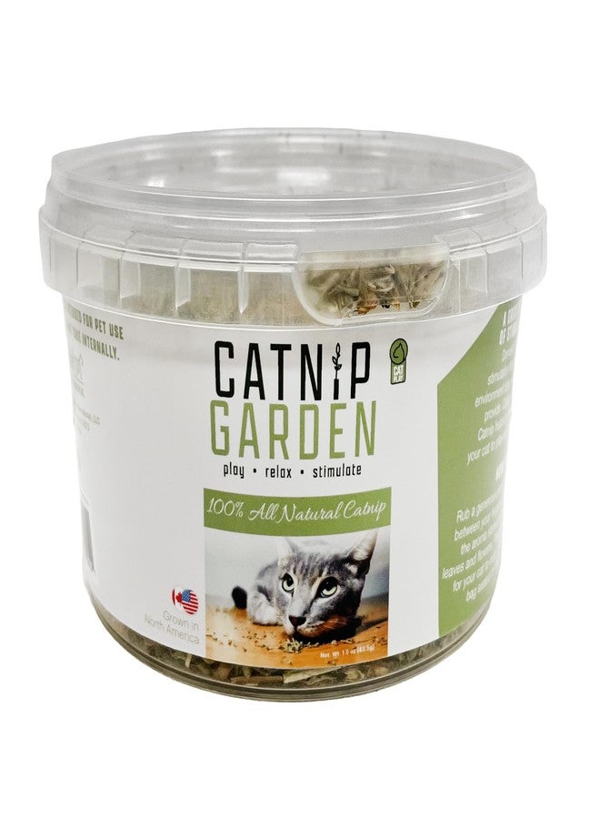 Multipet Catnip Garden Tub Toy, 1.5" - Image 1